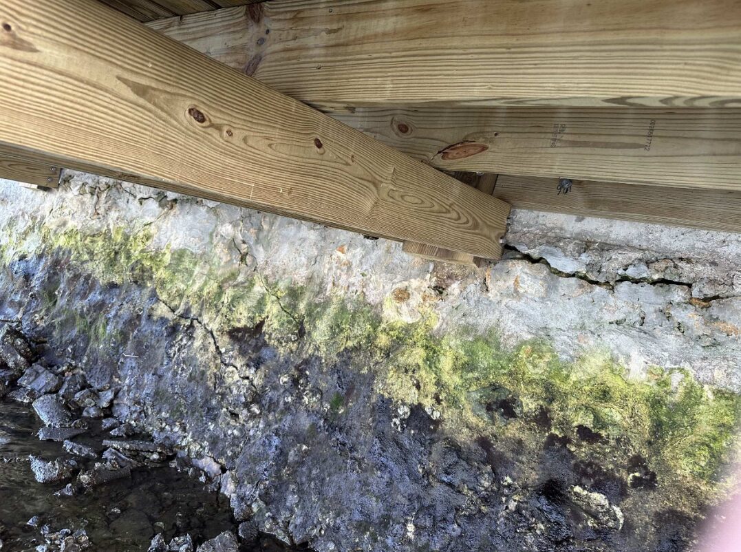 Concrete spalling and surface deterioration on a seawall cap during a professional seawall inspection in Florida
