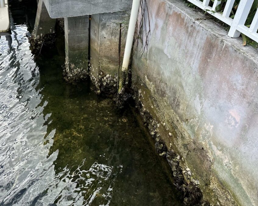 Cracking and gap formation at a seawall panel joint showing structural damage during a professional seawall inspection