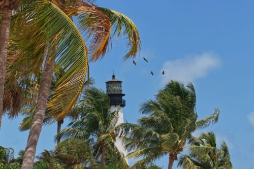lighthouse-point-florida-seawall-inspections