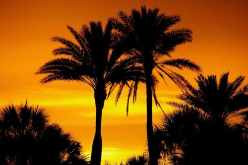 palm-springs-florida